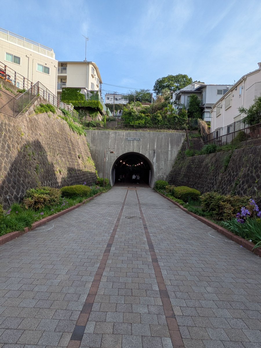 まっちー(町田伸一) tweet media