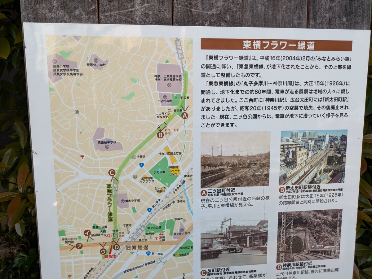 まっちー(町田伸一) tweet media