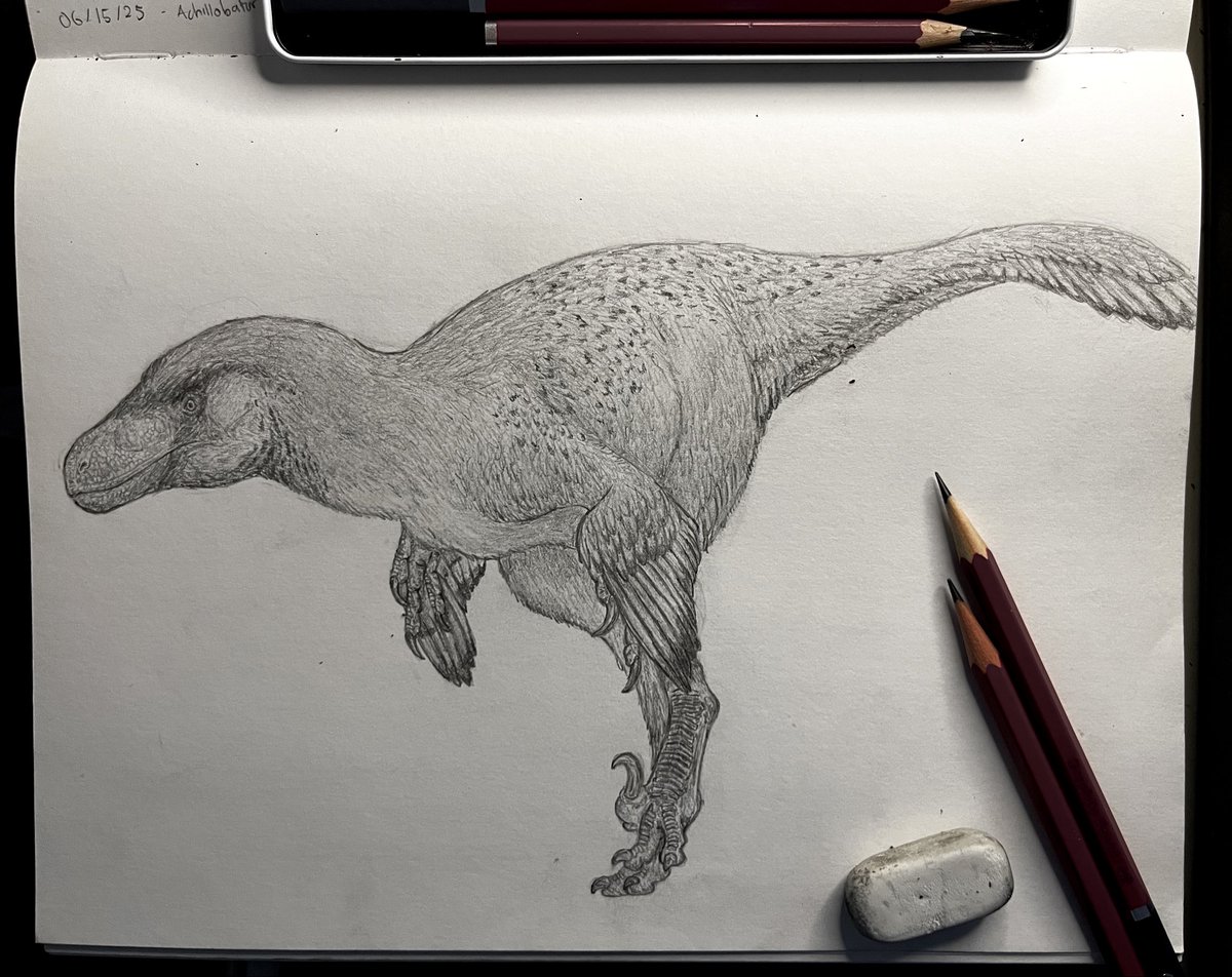 VexingRen tweet media