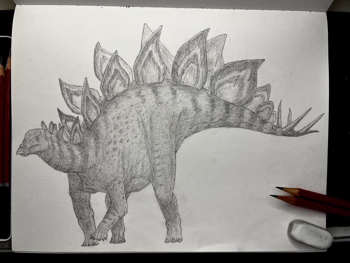 VexingRen tweet media