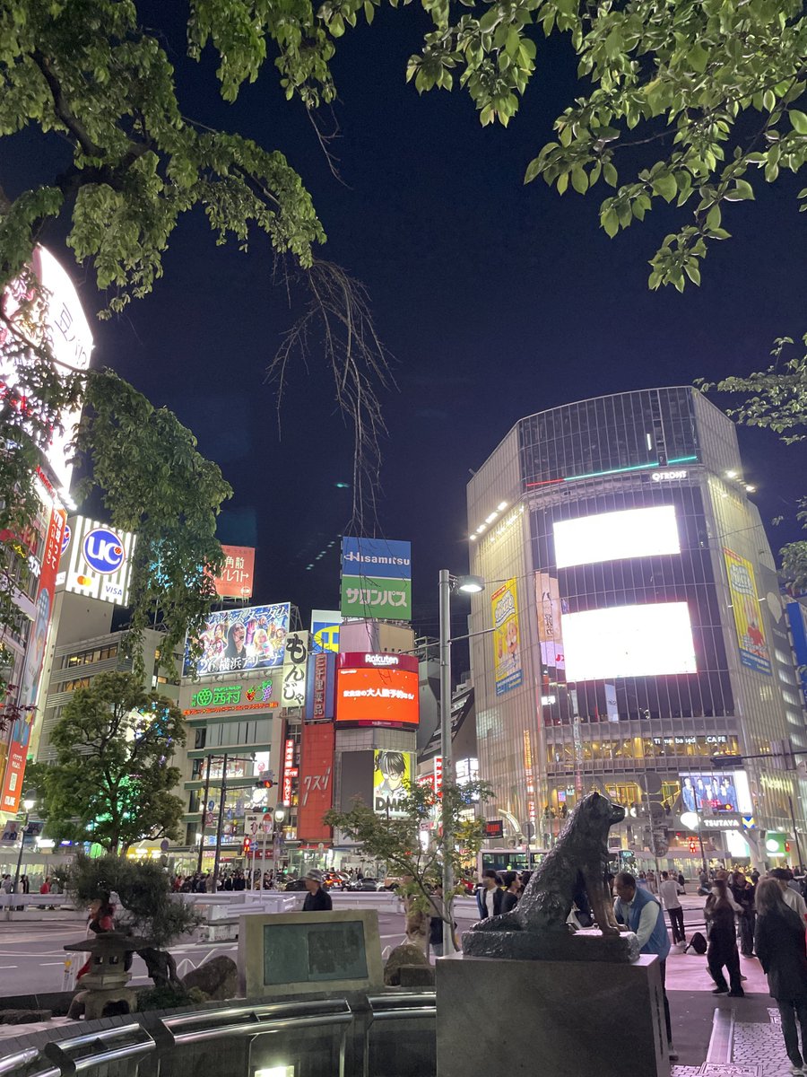 HspSin_1007's tweet photo. そういえば元気です。
東京は人が多い…大阪と京都が恋しい… https://t.co/PZZRoTgDhJ
