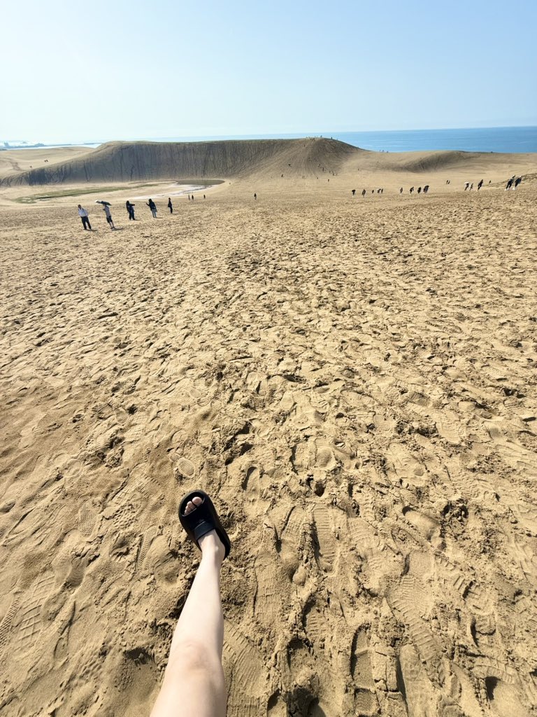 たくら tweet media