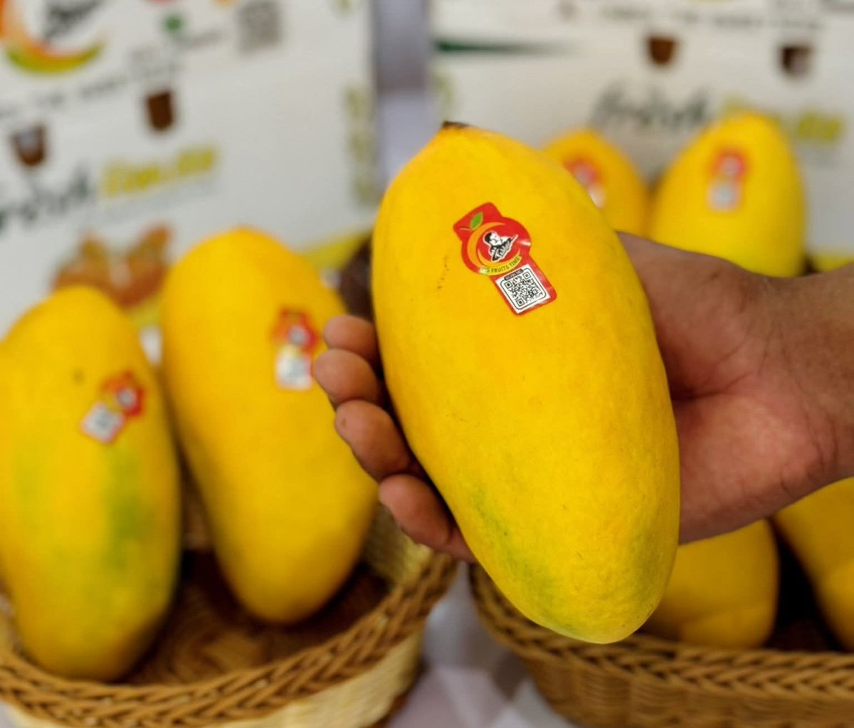 Muhammad Bilal tweet media