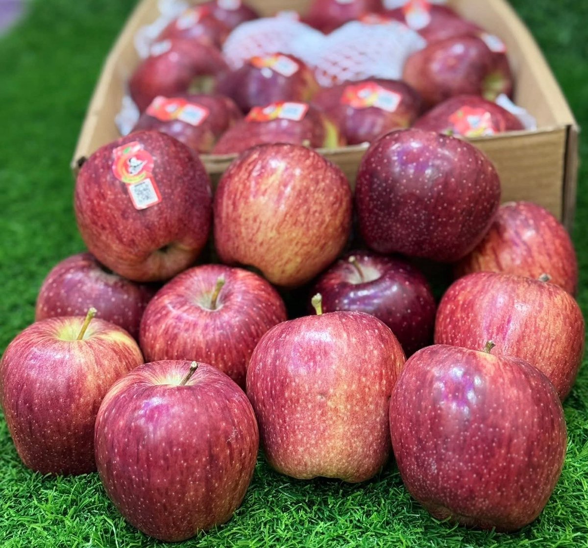 Muhammad Bilal tweet media