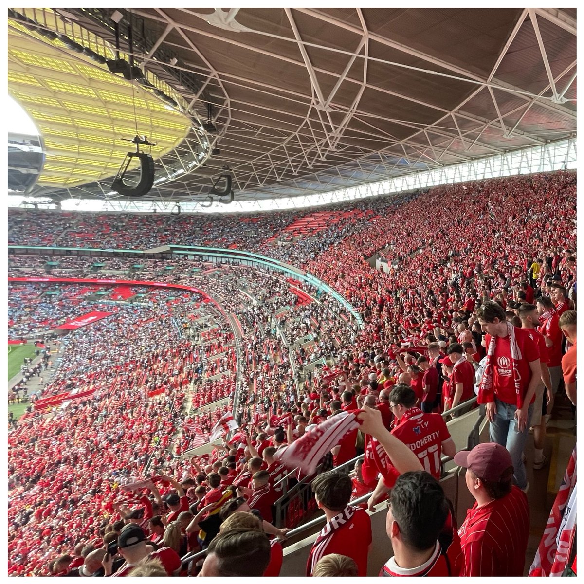 Garibaldi on Camera tweet media