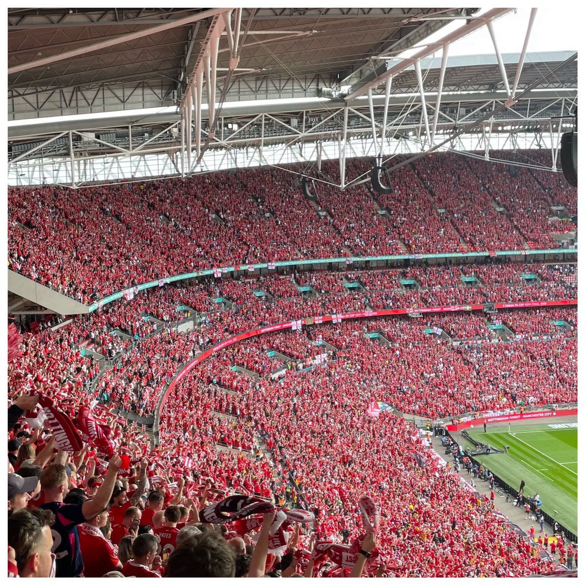 Garibaldi on Camera tweet media