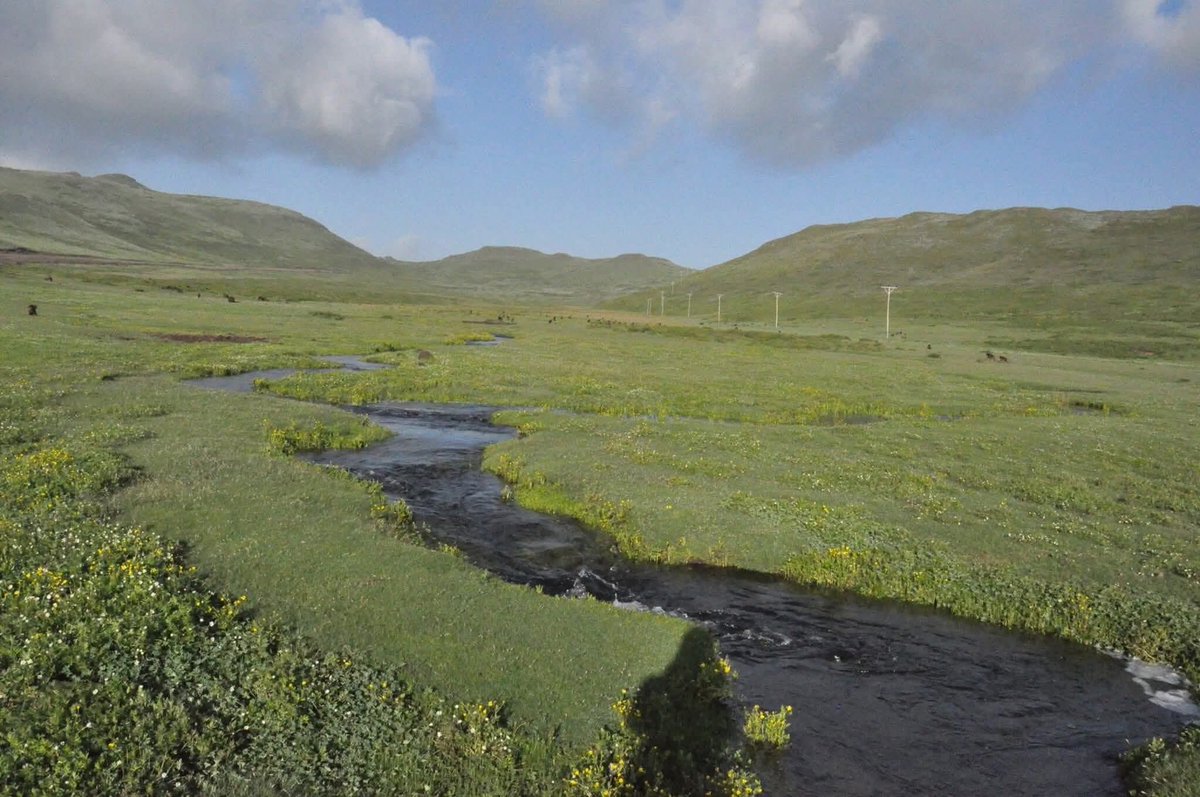 dessalegnmanaye's tweet image. Hydrology : Menze Guassa Community
The Guassa area forms one of the most important watershed for the Abye and the Awash basins. Twenty six small &amp;amp; medium sized rivers start from the Guassa area flowing to the west &amp;amp; east side of the mountain block .
#Ethiopia #water #ecofriendly