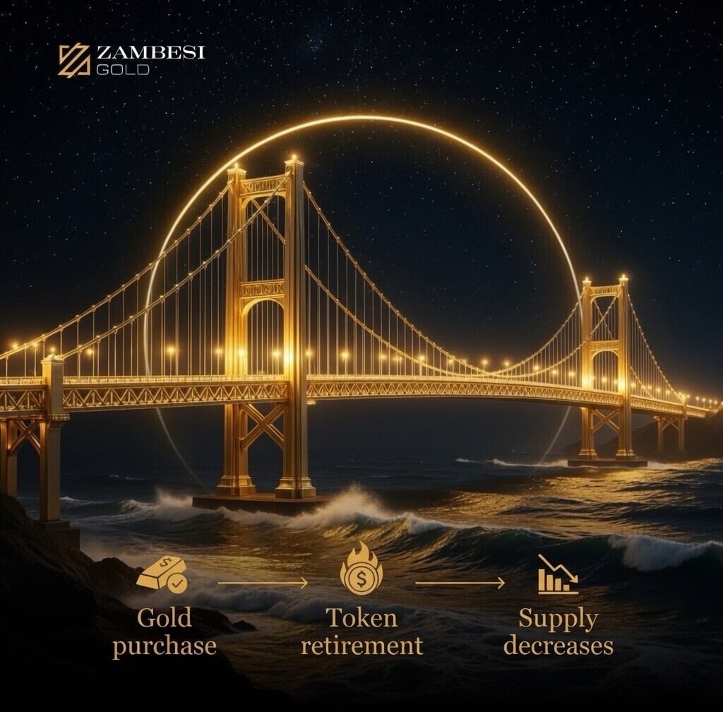 Zambesi Gold 🔺🪙 tweet media