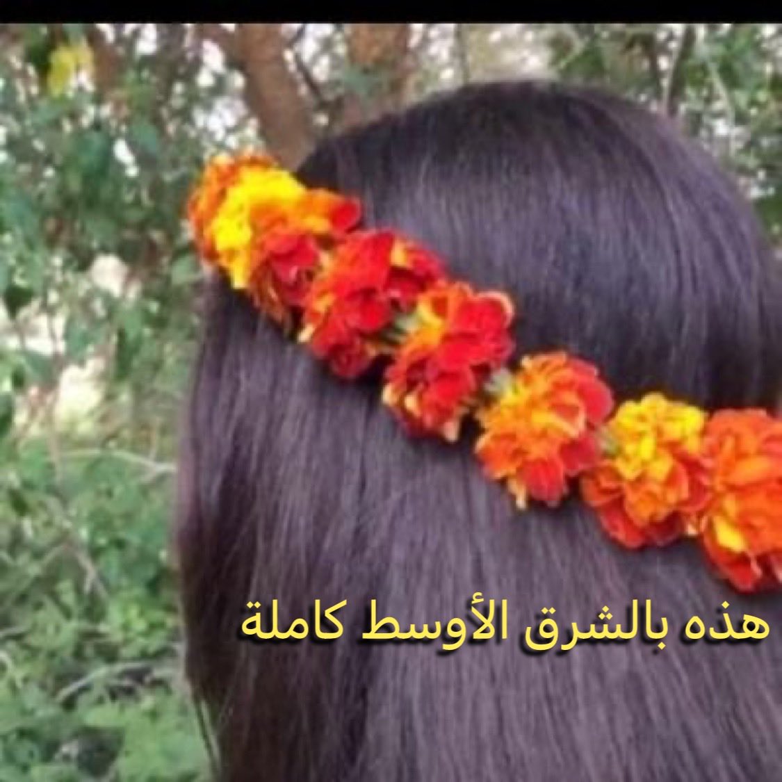 القلم الأحمر tweet media