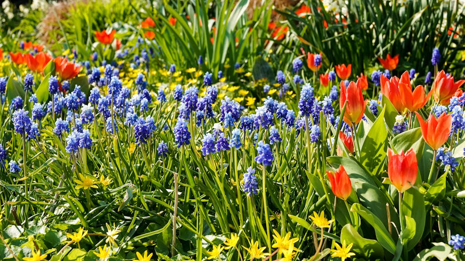 FreshbinzLtd's tweet image. How to maintain a clean healthy bin throughout the seasons.

You can read it here. ow.ly/8PBf50VJzsa

#environment #wheeliebins