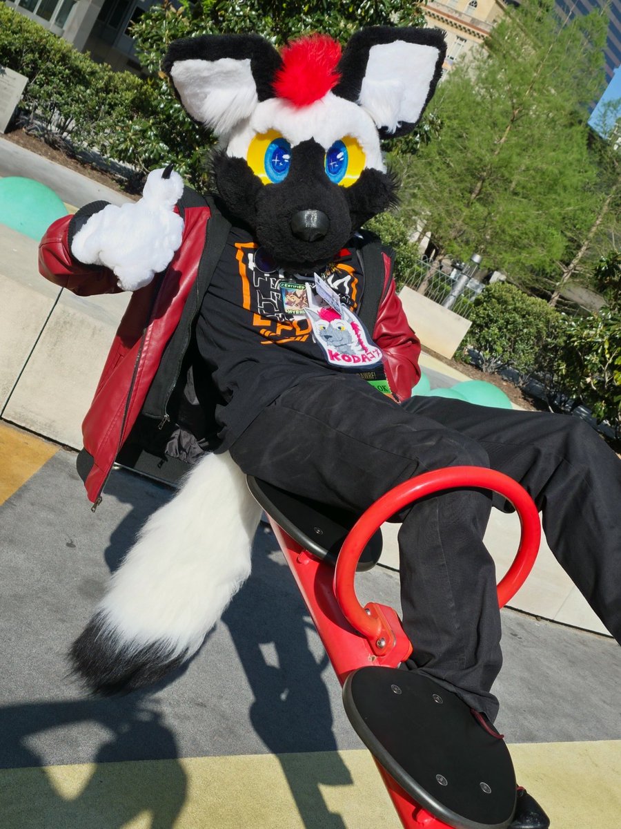 Koda tweet media
