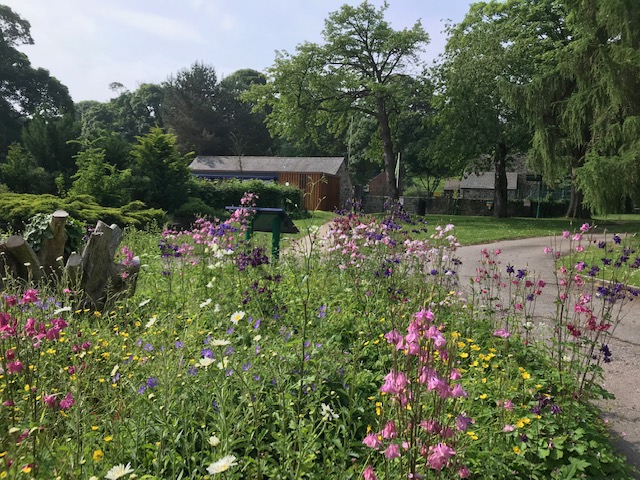 greenfieldvally's tweet image. Today sees the start of National Gardening Week. We have two groups of volunteers who look after ours. Thanks to them they are looking glorious at the moment. 

#DyffrynMaesGlas #GreenfieldValley #Volunteers #NationalGardeningWeek