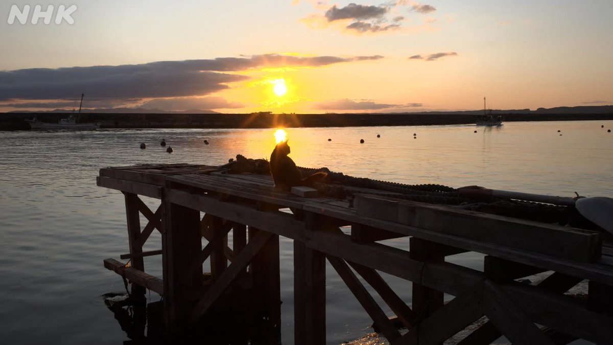 ＮＨＫ青森放送局 tweet media