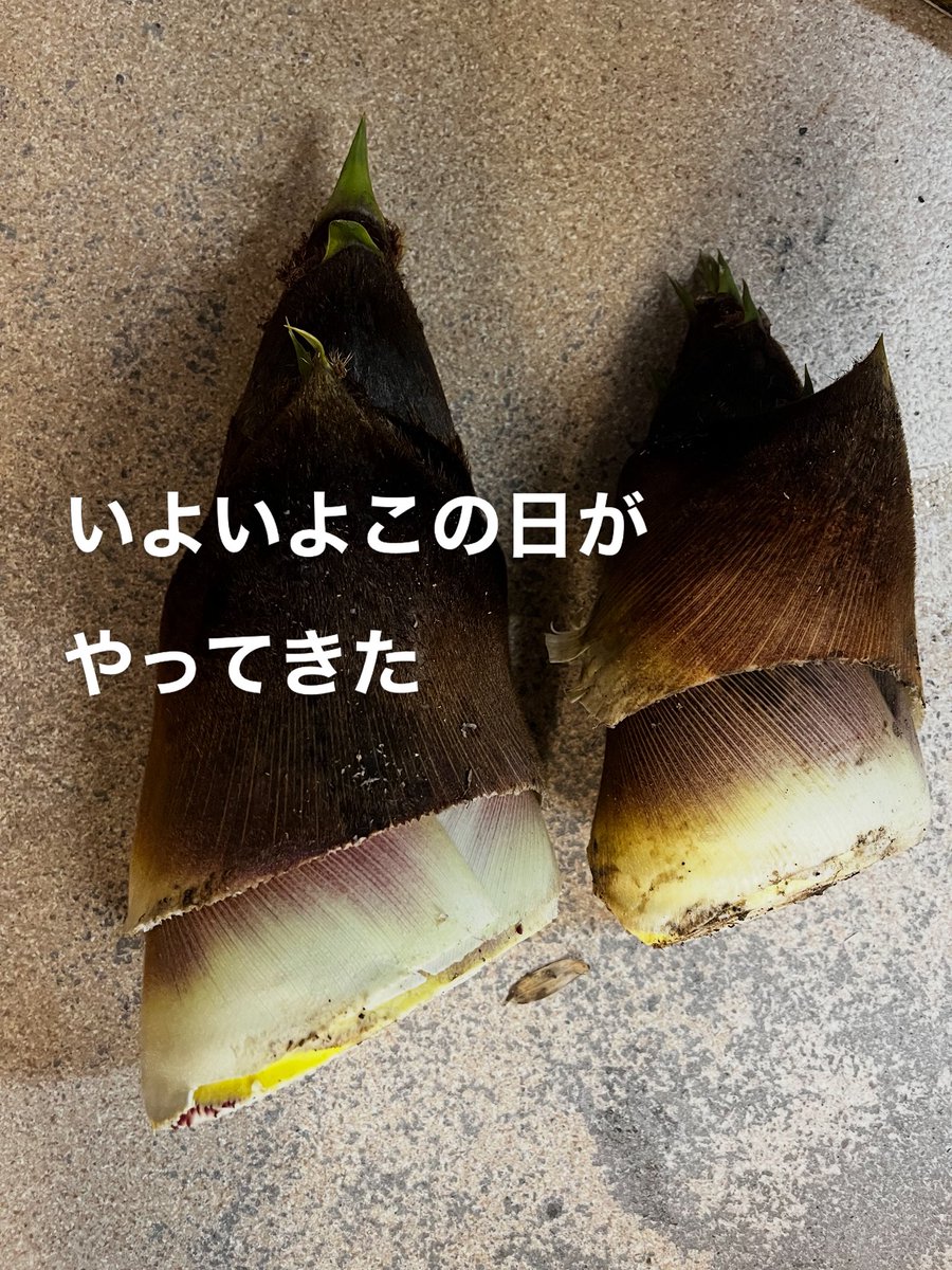 佐渡の酒屋　塚本酒店 tweet media