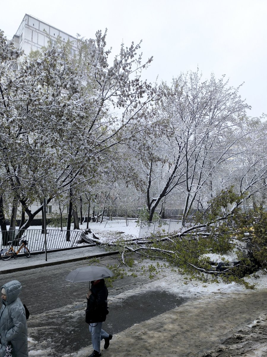 Kirona🐦‍⬛🍎 tweet media