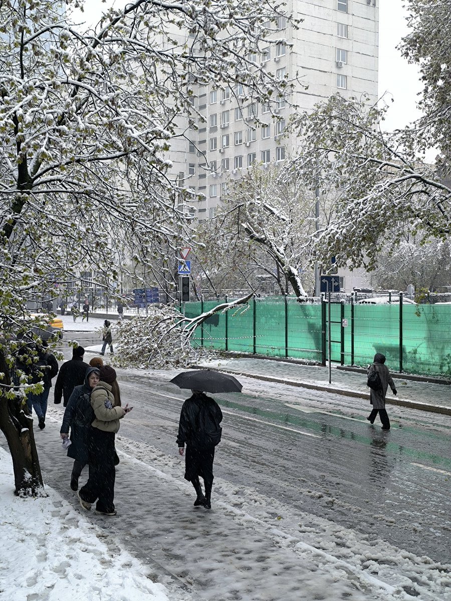 Kirona🐦‍⬛🍎 tweet media