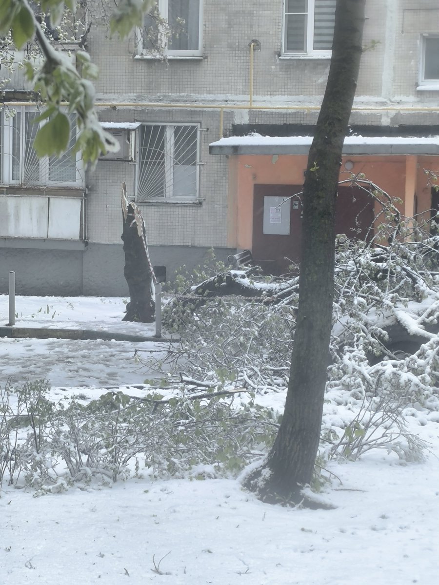 Kirona🐦‍⬛🍎 tweet media