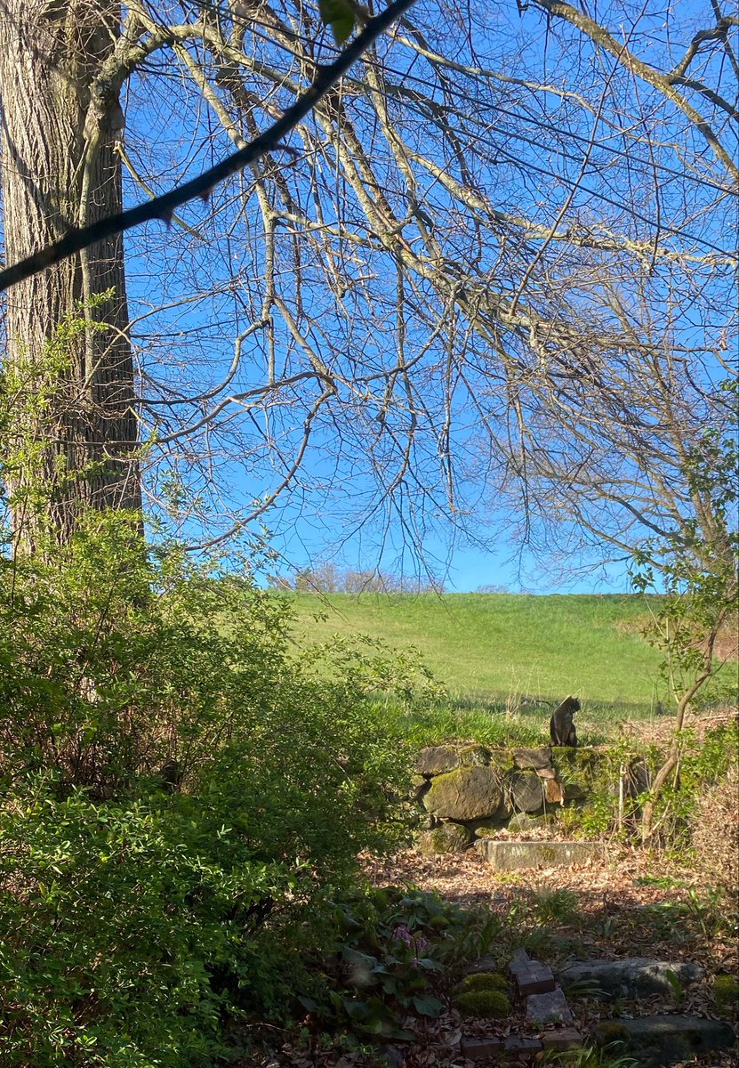 Brigitte Akın 🇩🇪🇹🇷 tweet media