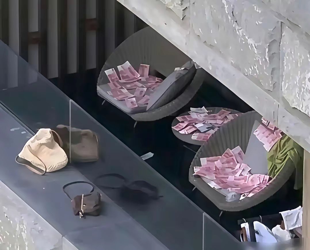 Bella. Chen tweet media