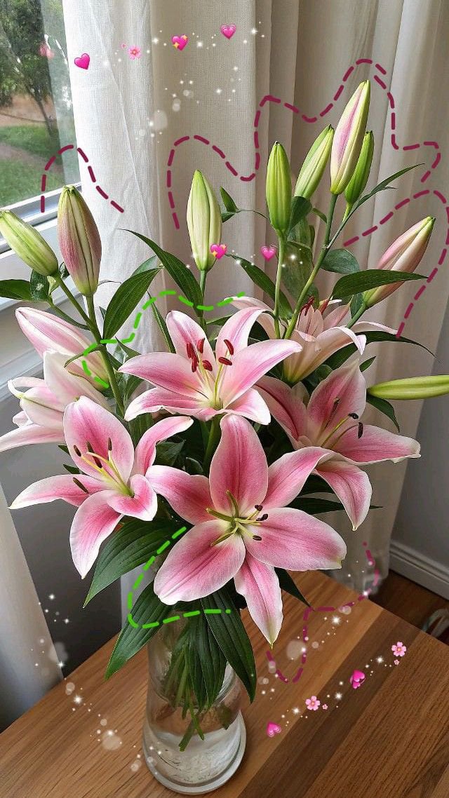 Soft Petals tweet media