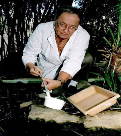 Mor Edge Insight tweet media