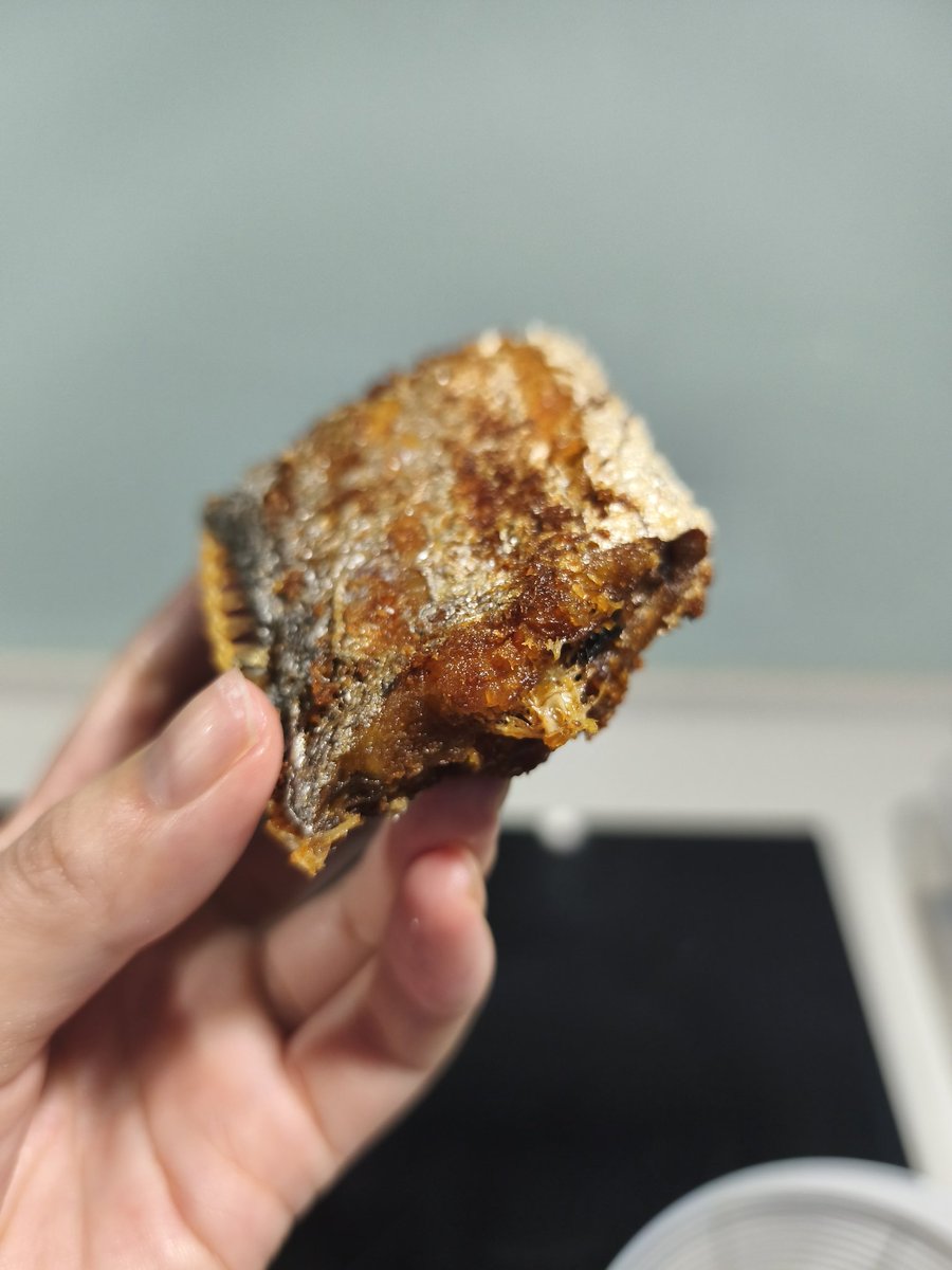 Ivy有🐱啦~ tweet media