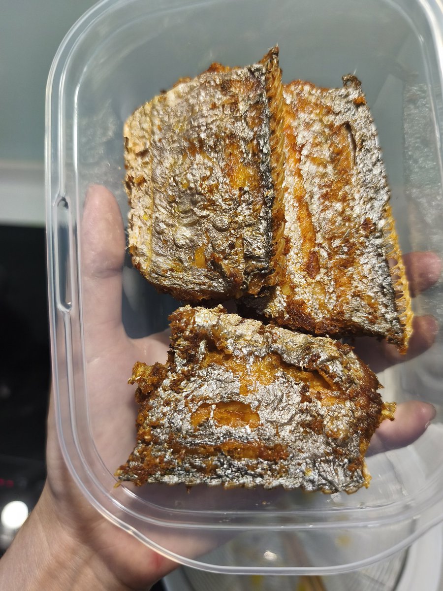 Ivy有🐱啦~ tweet media