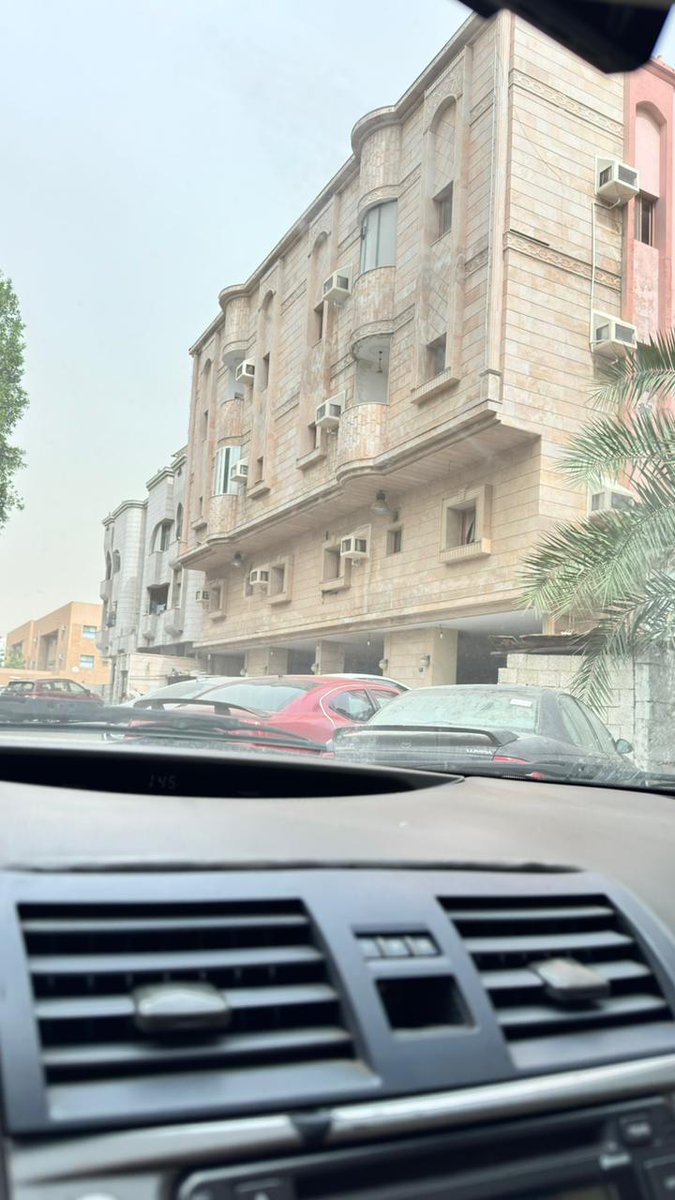 Lyle Emily tweet media