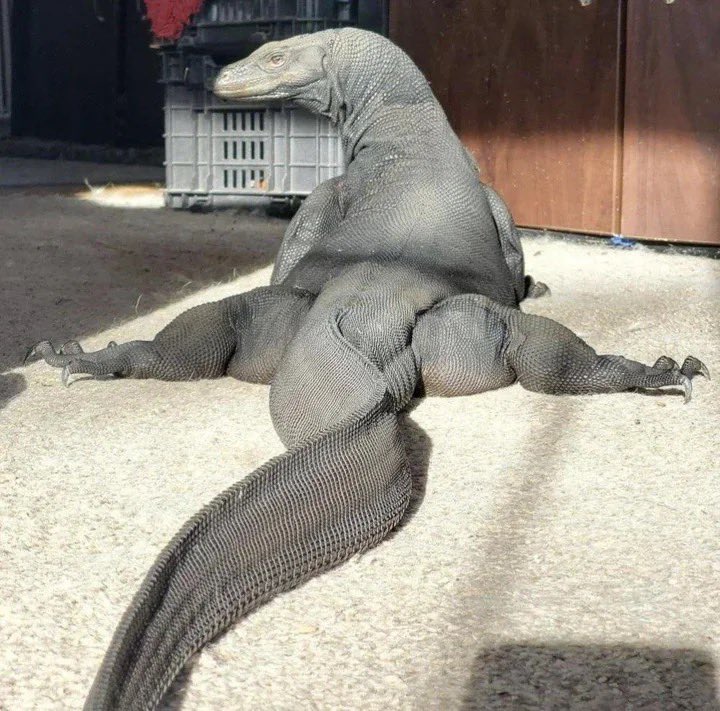 Fridayyscarr29★ tweet media