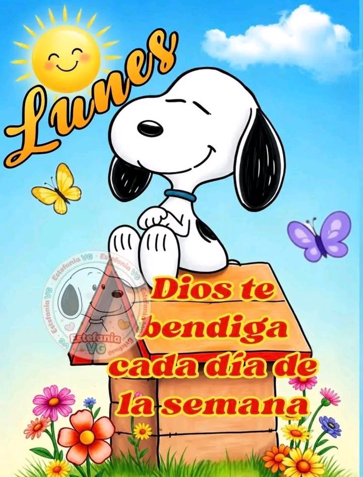 Mary 🐶🇻🇪🇺🇲🇵🇷🇨🇴🇨🇱🇵🇦🇺🇾🇦🇷 tweet media