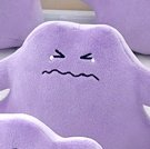 귤을 모르느냐 tweet media