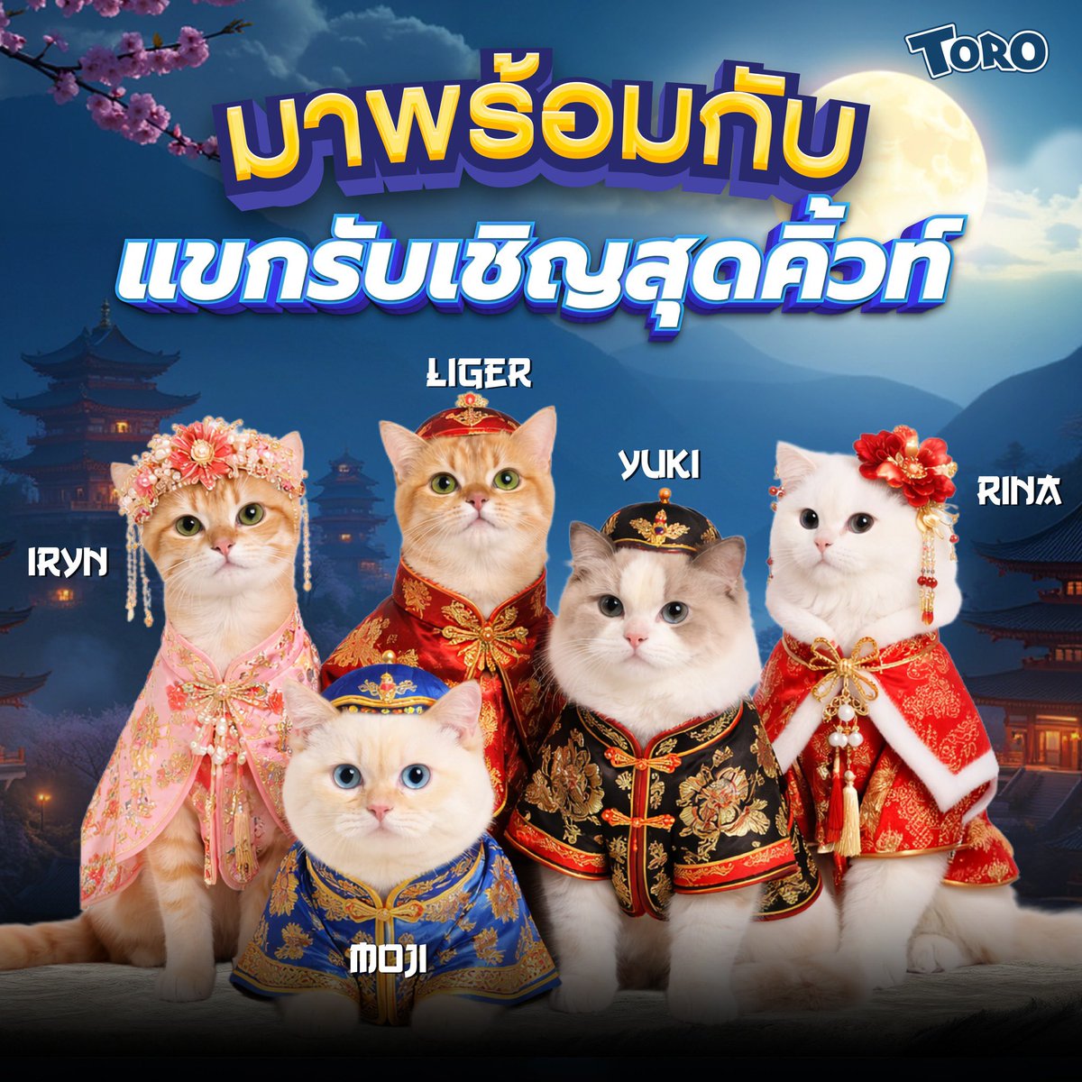 thisis_tong_ tweet media