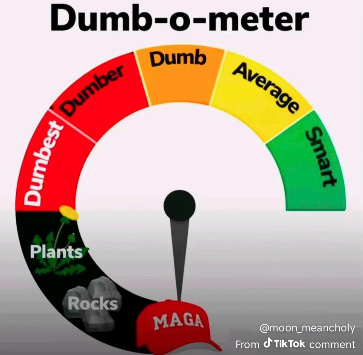 Mitchell Mimms tweet media