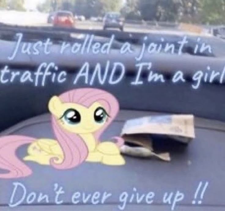 Birdie🇮🇳 tweet media