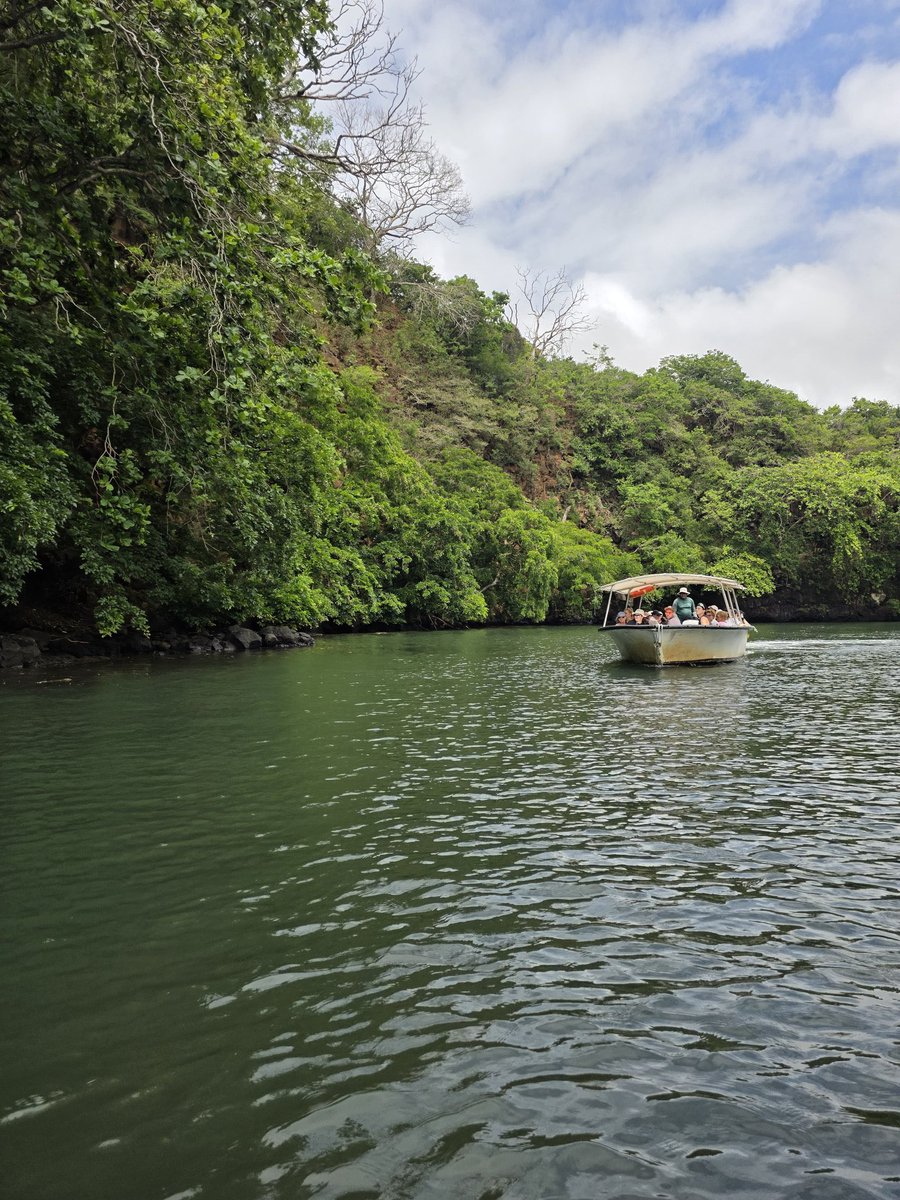 Stejos_Tours's tweet image. Monday Blues? Cure them with a plan for Mauritius. 

Stop dreaming and start packing. Your island paradise is just a booking away. Let’s get you out of the office and onto the beach.

DM us to start planning your escape today!

#Mauritius #Travel #MondayMotivation