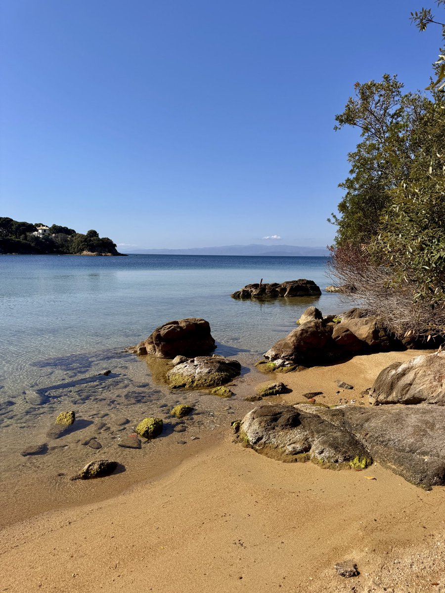 Nico 𝕏 tweet media