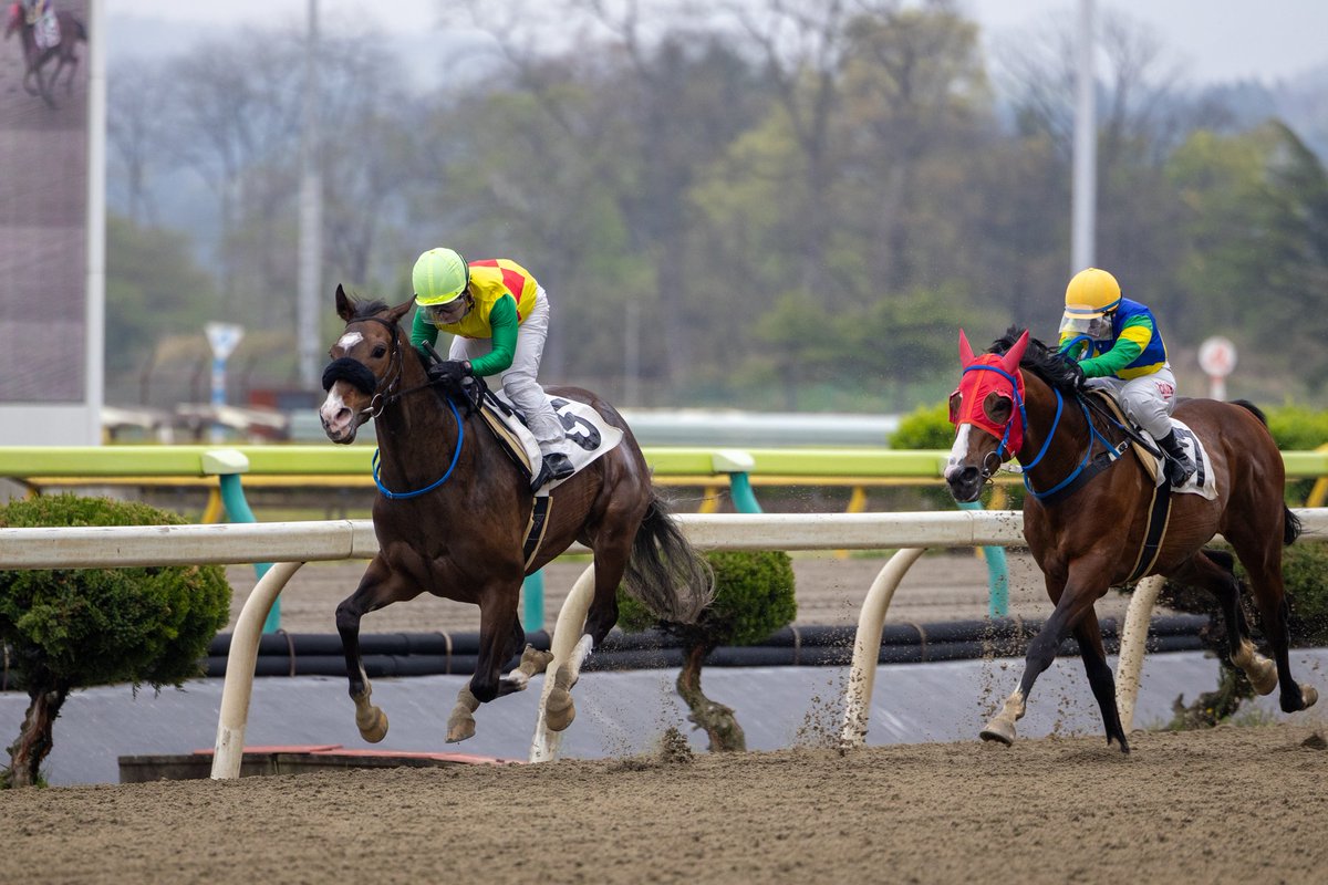 ほむん tweet media