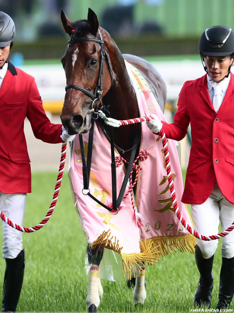 abracing0's tweet photo. One year ago today, Liberty Island gave everything she had - right until the very end. She left us far too soon at just five years old, but the fire she carried will never fade.

She was the 2023 Japanese Triple Tiara champion - just the 7th filly in history to claim the Oka Sho, Yushun Himba (by a breathtaking 6 lengths, the biggest margin in decades), and Shuka Sho. She won the Hanshin Juvenile Fillies as a two-year-old, earned back-to-back JRA Awards as Best Filly, and took on the world’s best in Dubai, Hong Kong, and the Japan Cup (where she ran second only to the mighty Equinox).

Trained by Mitsumasa Nakauchida, guided by the brilliant Yuga Kawada, and carrying the famous Sunday Racing silks, Liberty Island raced with pure class, explosive speed, and an unbreakable heart. 

Fans around the globe fell in love with her grace, her courage, and that signature late burst that made the crowd roar.

Her name came from the island that holds the Statue of Liberty - and she lived up to it every time she stepped onto the track: a beacon of strength, freedom, and joy.

Today we remember the champion who belonged to all of us.

The filly who made us believe.

The horse who gave her all until the very end.

Liberty Island, you will forever be our Triple Tiara queen.

Run free now, in the open fields and endless blue skies.

We miss you every single day 💔 🗽 

#リバティアイランド