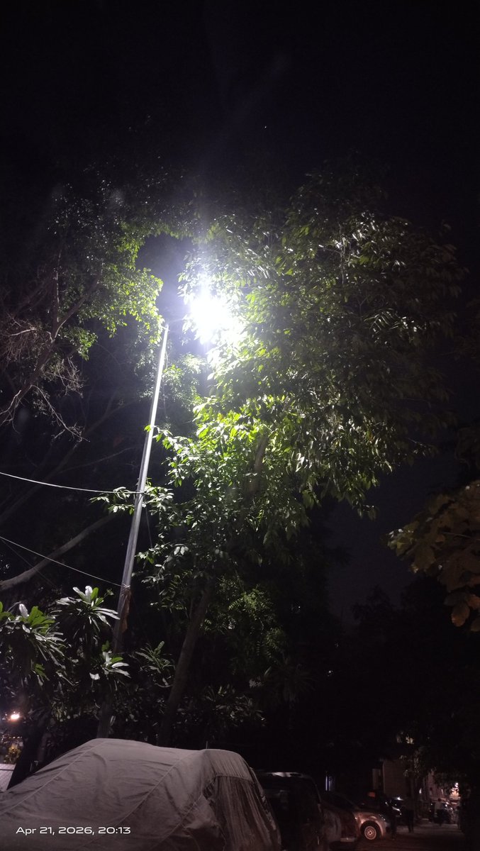 LightUpDelhi's tweet photo. पेड़ों के कारण स्ट्रीट लाइट की रोशनी नीचे नहीं जा पाती हैं, कृपया इन टहनियों को ट्रिम करें @MCD_Delhi @LtGovDelhi @gupta_rekha @CMODelhi पूरी दिल्ली में सभी ऐसे पेड़ों की छटाई होनी चाहिए। यह शिकायत जय अंबे अपार्टमेंट न्यू कोंडली की है @DelhiLightMan  @reechasingh1 @tripdev https://t.co/7pvMvaB5CO
