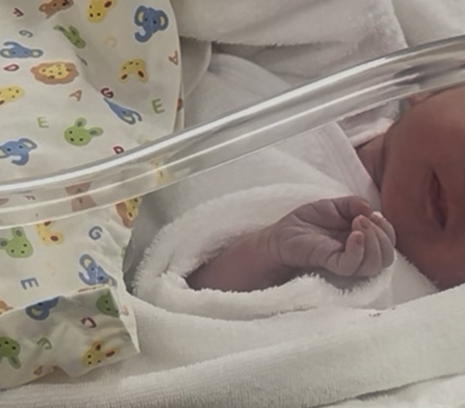 しらたま☺︎0m🦕 tweet media