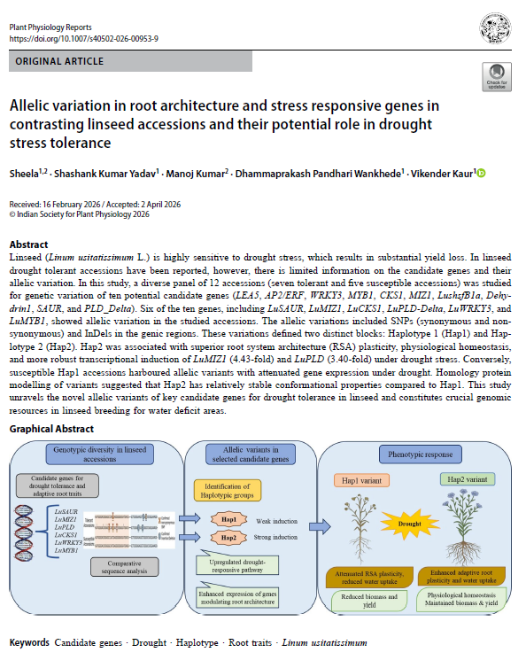 linseed_project's tweet photo. Root architecture and gene variation in drought tolerant #linseed. Sharing our latest publication @INbpgr @DBTIndia @Vikender_Kaur 
https://t.co/lo6qIpJVUk https://t.co/XnyUwoaGdJ