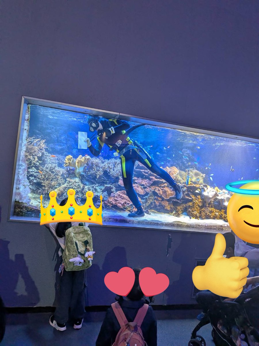 prenabc's tweet photo. 水族館 https://t.co/GoUDyZEx2M