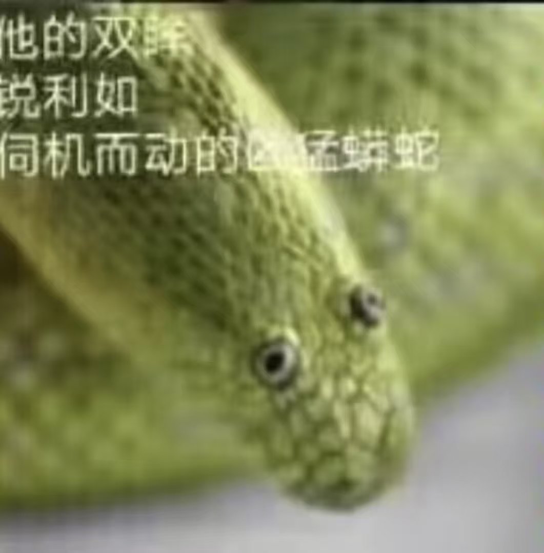 火勢漫研 tweet media