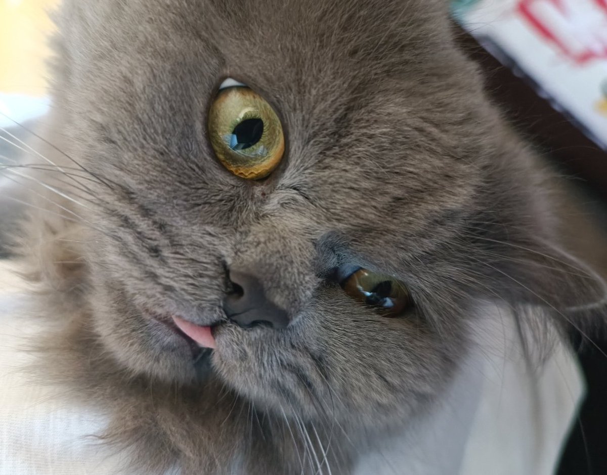 sullen girl⋆𐙚₊˚⊹♡ tweet media