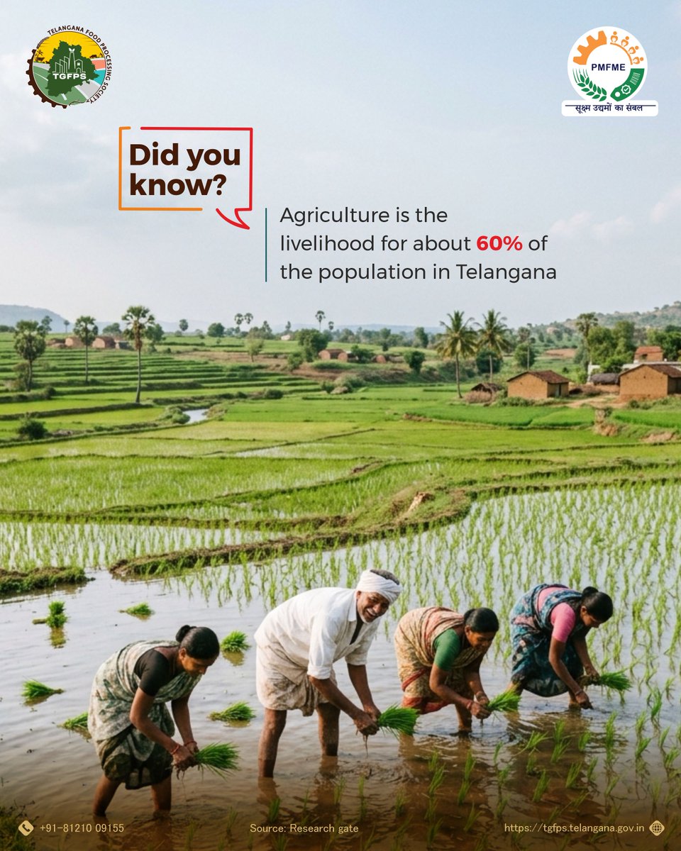 PmfmeTelangana's tweet image. More than a sector, it’s a way of life. 
Agriculture continues to sustain a significant share of Telangana’s population! 

#PMFME #DidYouKnow #Occupation #SourceOfIncome #FarmingLife