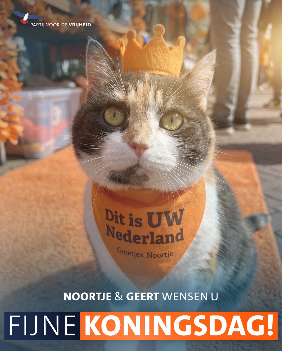 Snoetje en Pluisje tweet media