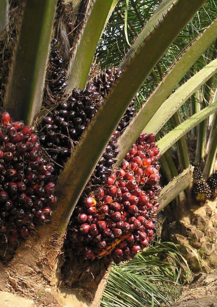 Victor TalksHealth tweet media