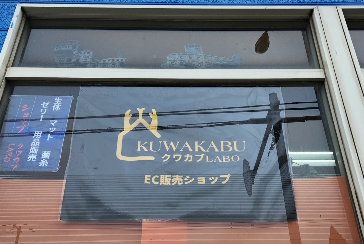 本日 4/27(月) 15時~20時 オープンします。 クワカブLabo 札幌市豊平区 本日 4/27(月) 15時~20時 オープンします。 クワカブLabo 札幌市豊平区