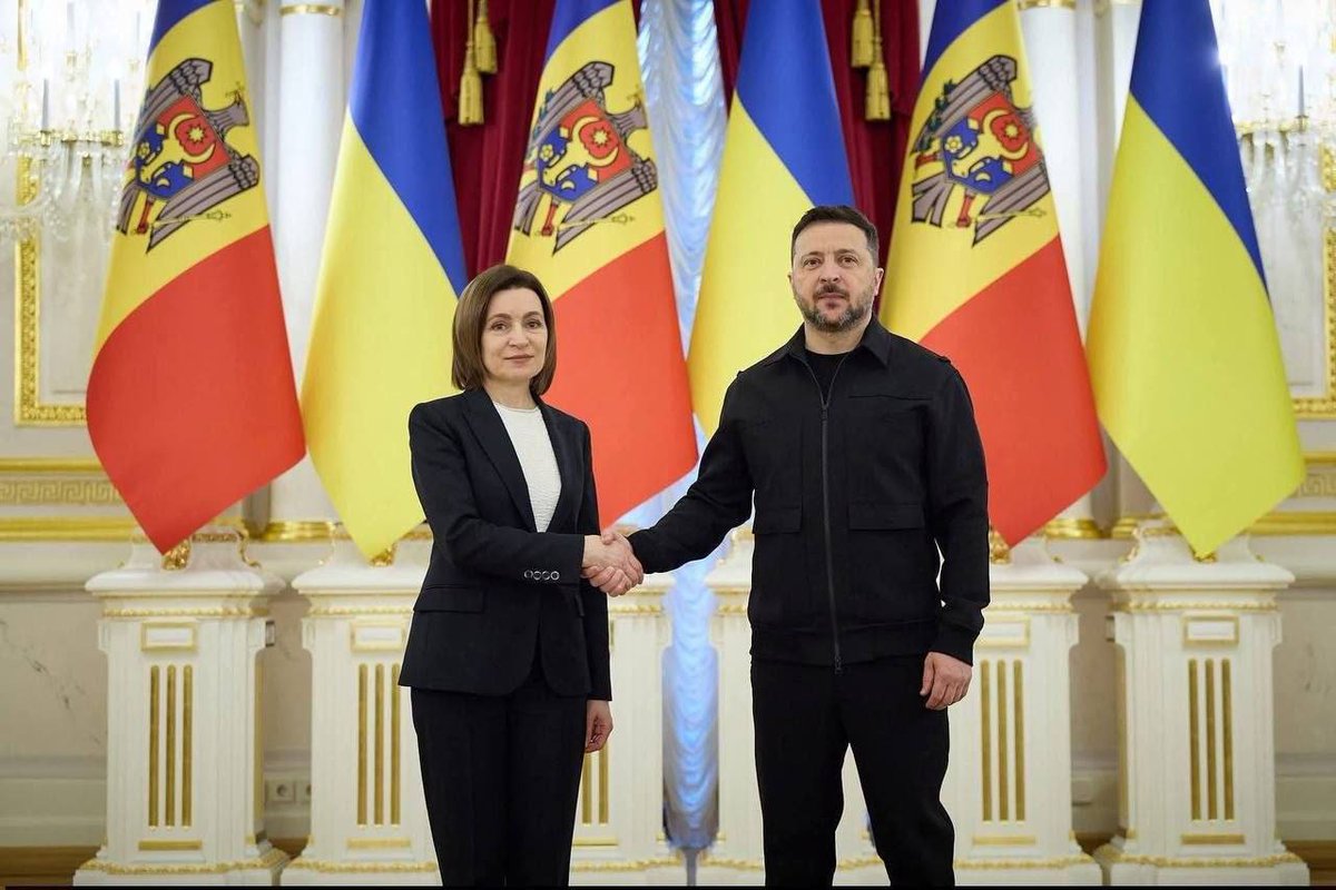 Последний гусь tweet media
