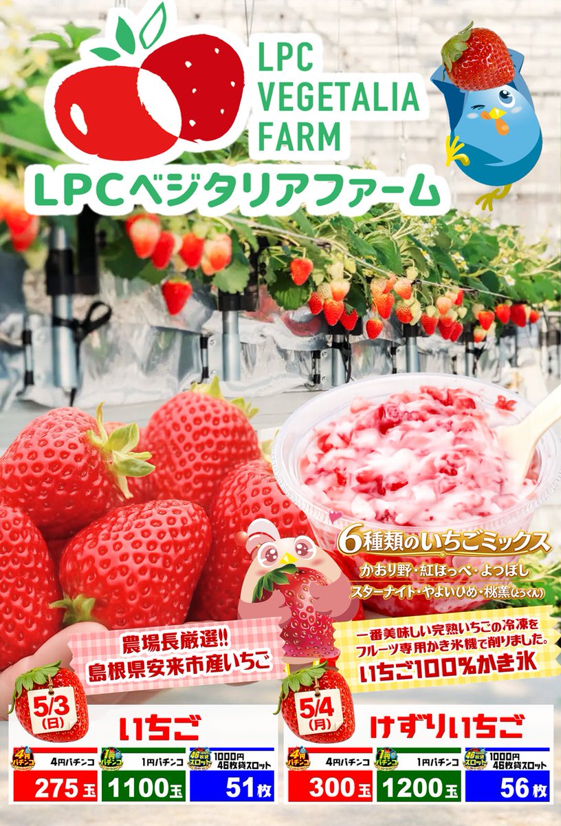 こんばんは～(*'ω' *) 明日も安来いちご賞品入荷🍓 本日はフレッシュ